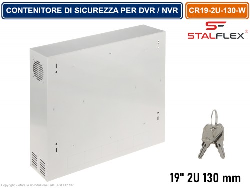 Alloggiamento Parete Per DVR/NVR 2U - Grigio Chiaro Digitius - Foto 4
